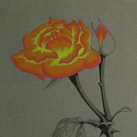 Ockham's Rose